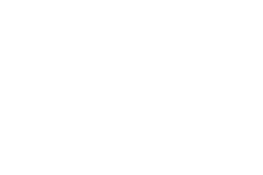 Birmingham Bridal Outlet Logo